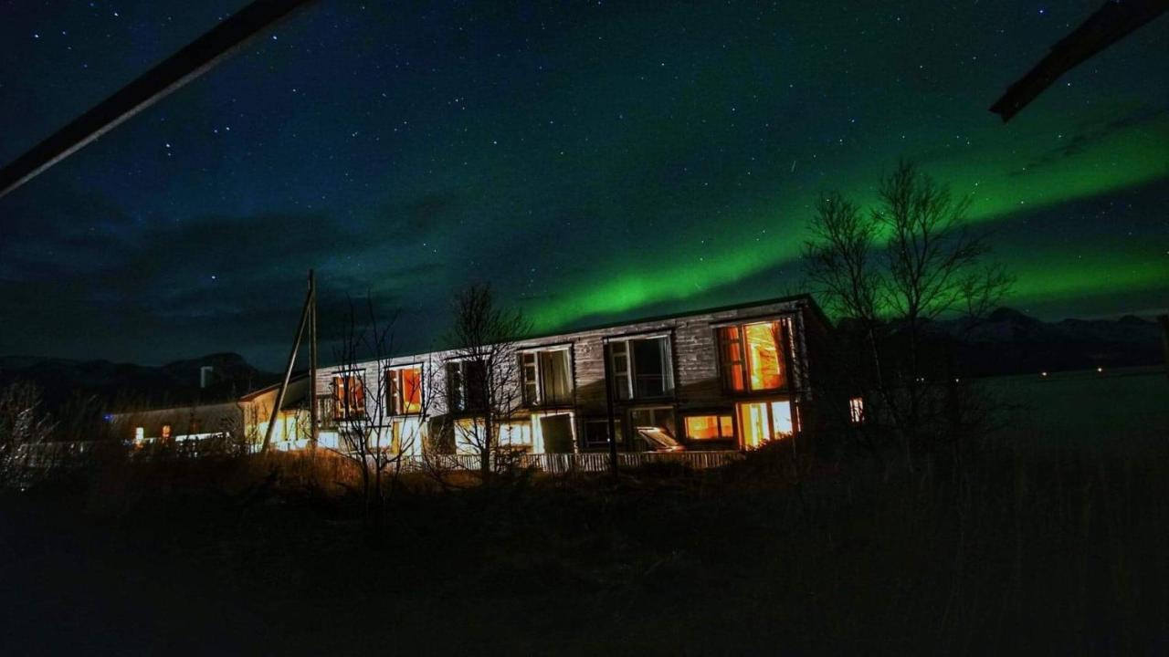 Risvaer Brygger Bed and Breakfast Digermulen Buitenkant foto